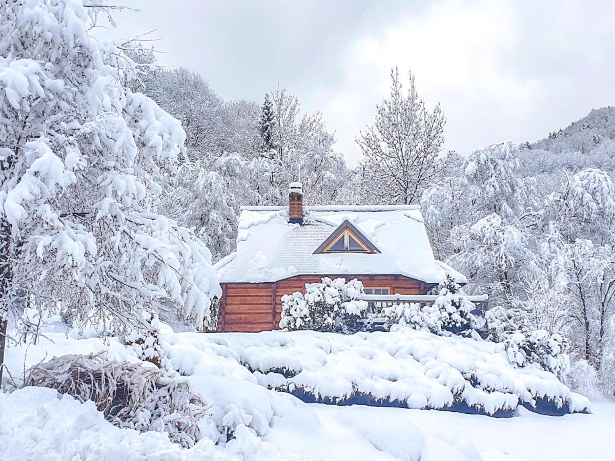 Lesne Uroczysko Villa Чисна Екстериор снимка