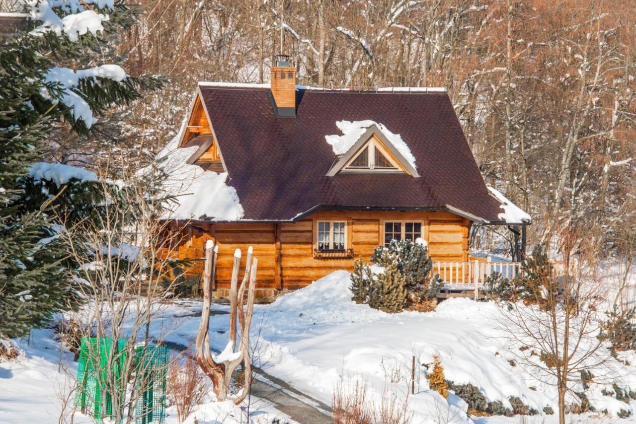 Lesne Uroczysko Villa Чисна Екстериор снимка